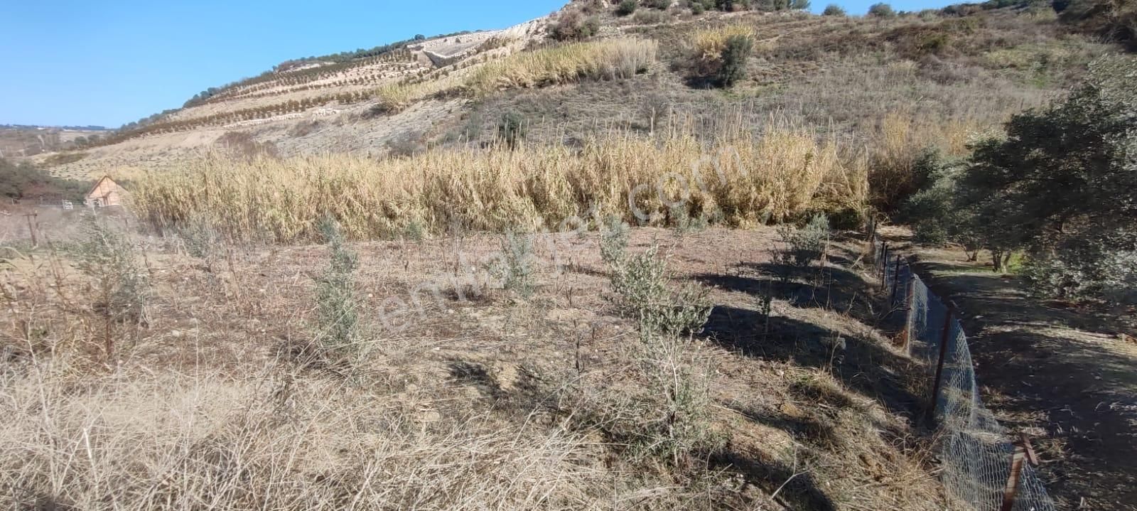 Fa Emlaktan Çavakta Kocahamzalı Yolunda 3000m2 Satılık Arsa - Görsel 2