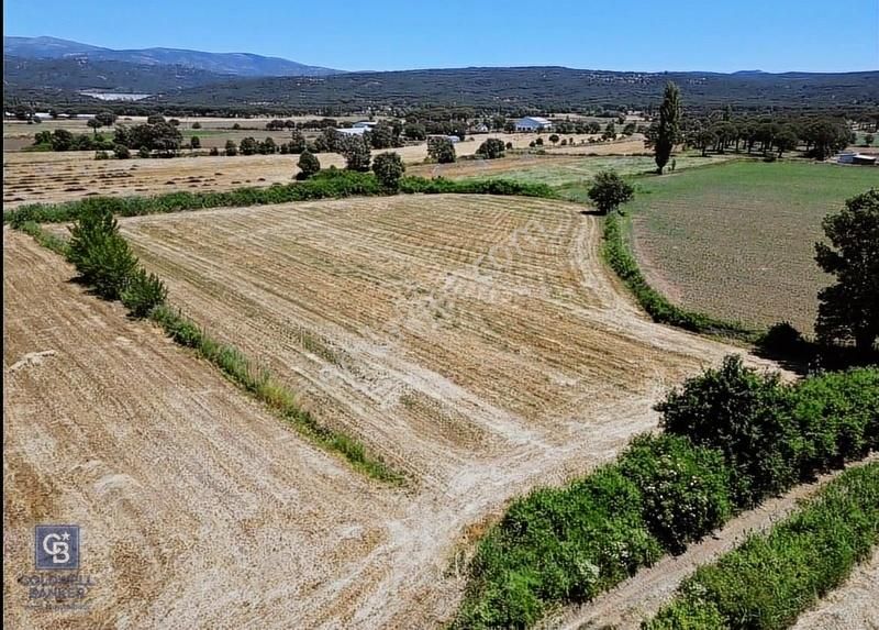 Bergama Çamavlu Satılık Tarla İzmir Bergama Kozak Yaylasında 8300m2 Tek Tapu Satılık Arazi