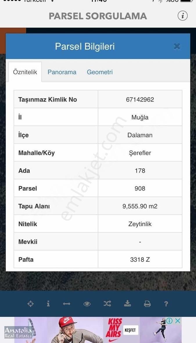 Dalaman Şerefler Satılık Zeytinlik Satılık Deniz Manzaralı Arazi