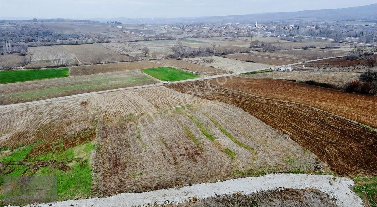 Biga Sarıca Köyü Satılık Tarla Çanakkale-biga-sarıca Köyün'de- Satılık Tarla