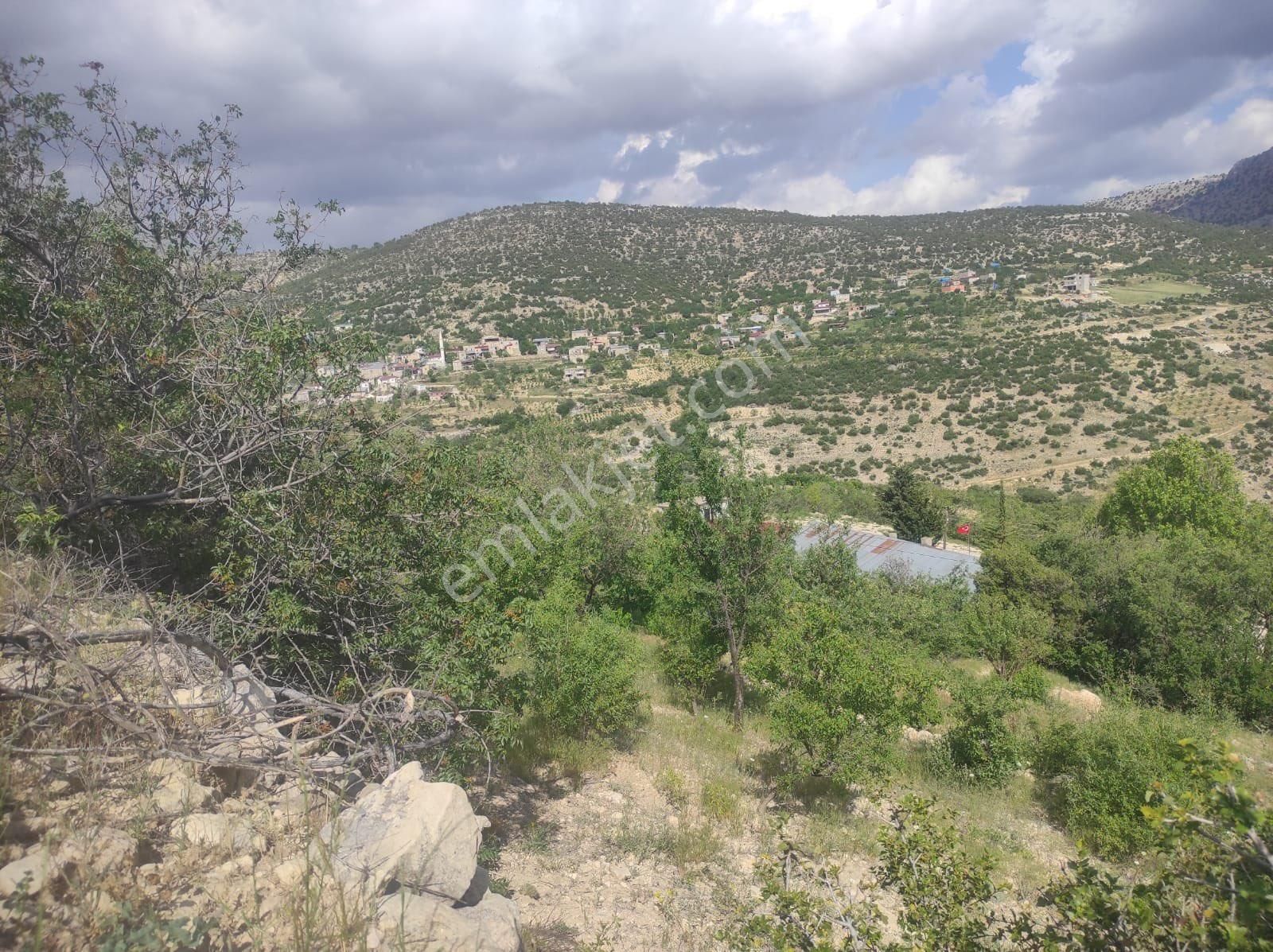 Silifke Kıca Satılık Tarla Silifke Kıca Mahlesinde 2dönüm Bağ