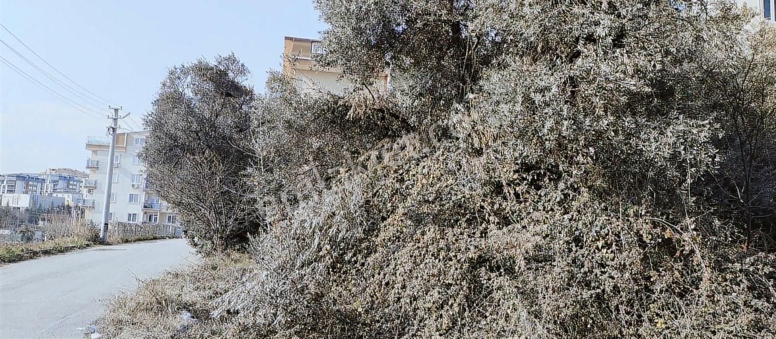 Gebze E5 Yanı Kupon Arsa - Görsel 3