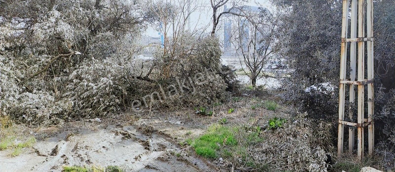 Gebze E5 Yanı Kupon Arsa - Görsel 4