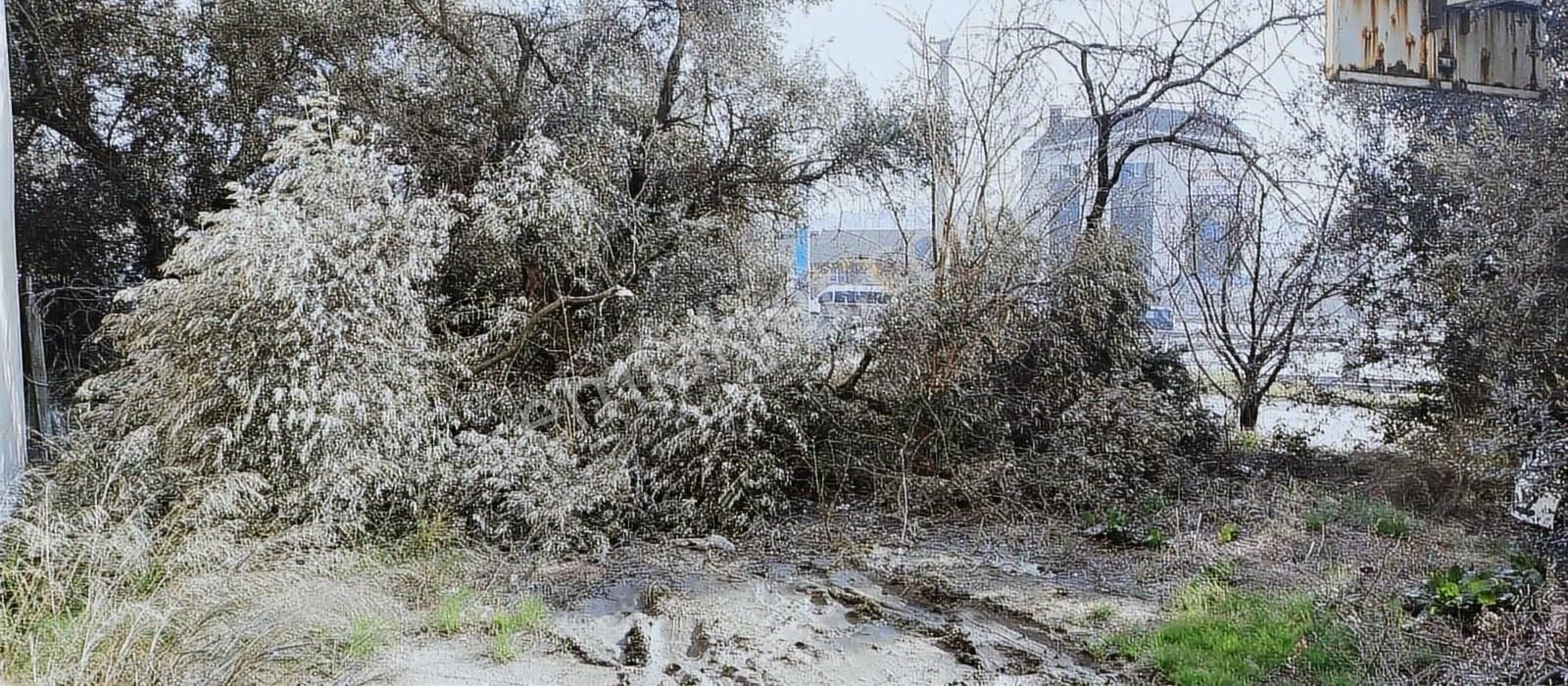 Gebze E5 Yanı Kupon Arsa - Görsel 8