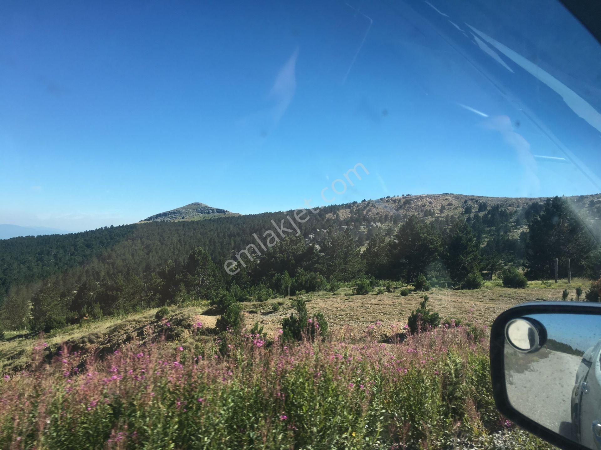 Kepsut Kayaeli Satılık Tarla Balıkesir Kepsut Kayaeli Mahallesinde Açık Manzaralı Ve Panoramik Doğa Manzaralı Tarla