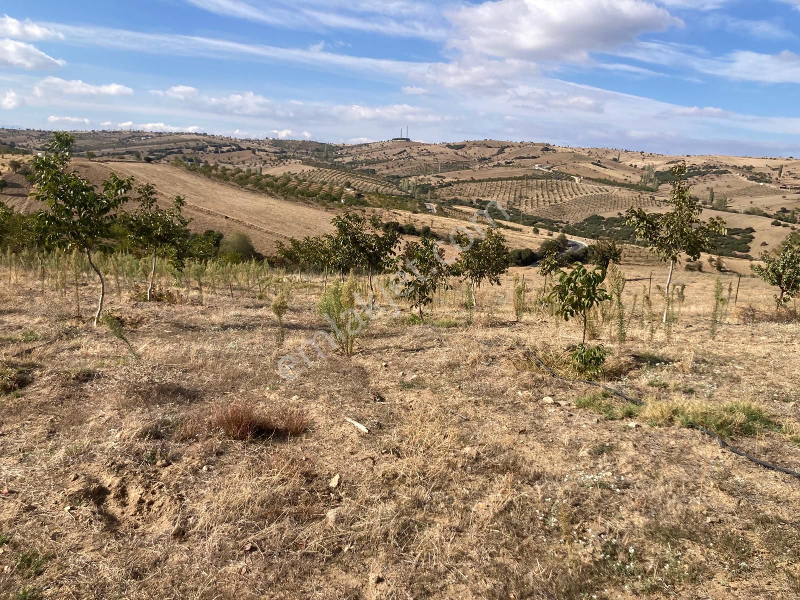 Kula Konurca Satılık Tarla Eges Gayrimenkülden Yatırımlık Arazi