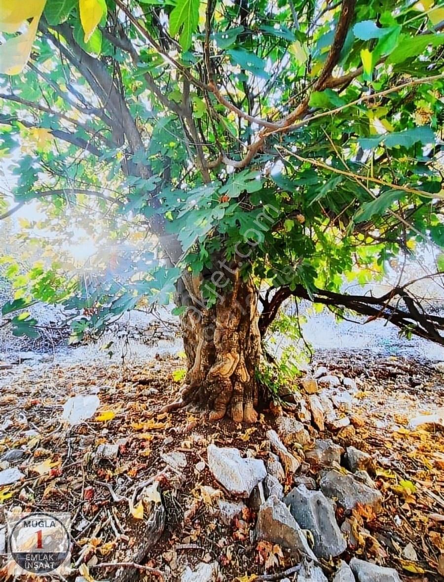 Muğla Menteşe Satılık Toplu Konut İçin Muğla Yerkesik'te Satılık Arsa