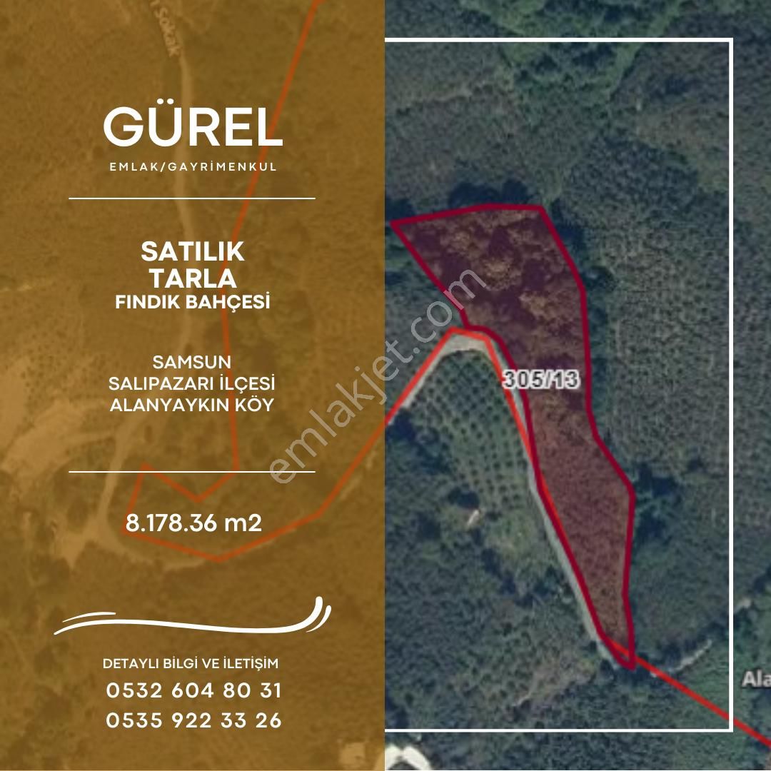 Salıpazarı Alanyaykın Satılık Tarla Samsun'un Salıpazarı Alanyaykın Köyünde Satılık Fındık Bahçesi