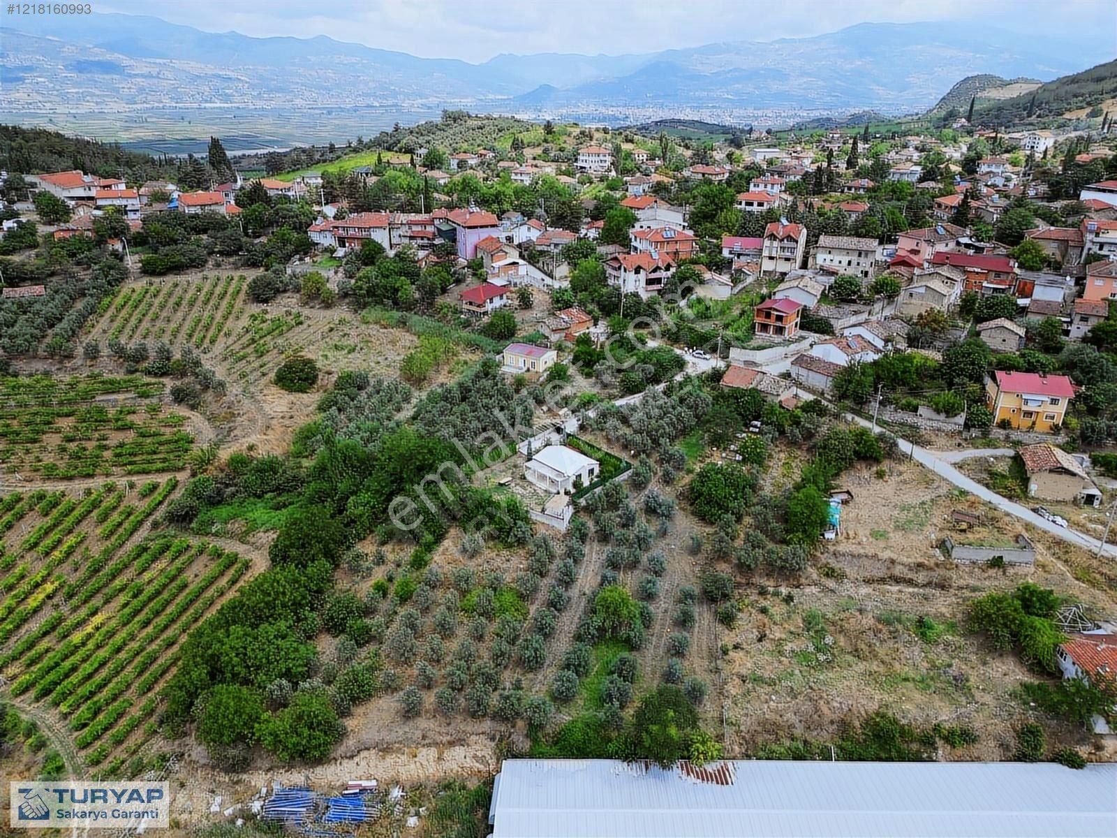 Geyve Umurbey Satılık Konut İmarlı Sakarya Geyve Umurbeyde 1428 M2 İmarlı Arsa