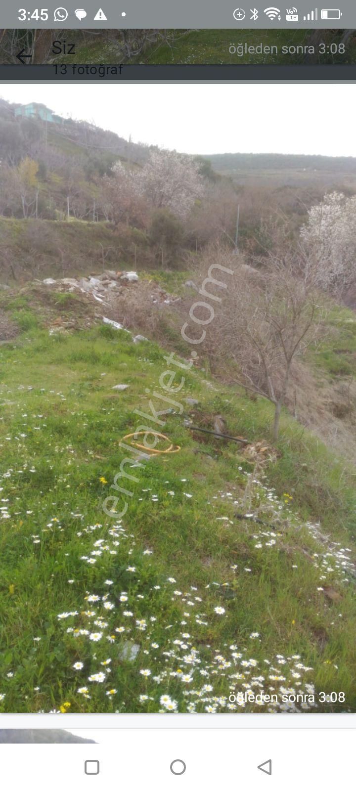 Tire Kaplan Mah Satılık Arazi - Görsel 3