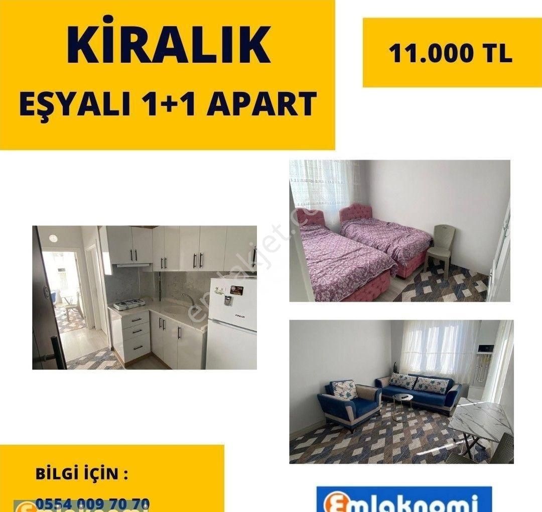 Karaman Merkez Tabduk Emre Kiralık Daire 1+1 Kiralık Apart