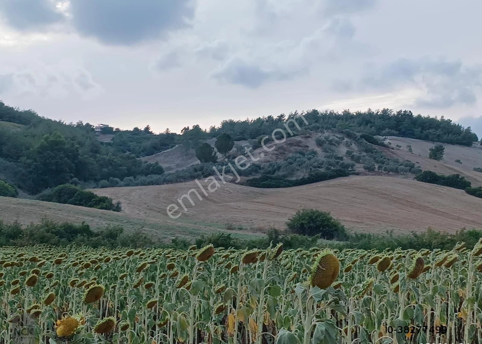 Sarıçam Kılıçlı Satılık Tarla Nck'dan Sarıçam Kılıçlıda 1040 M2 Satılık Hisseli Tapu