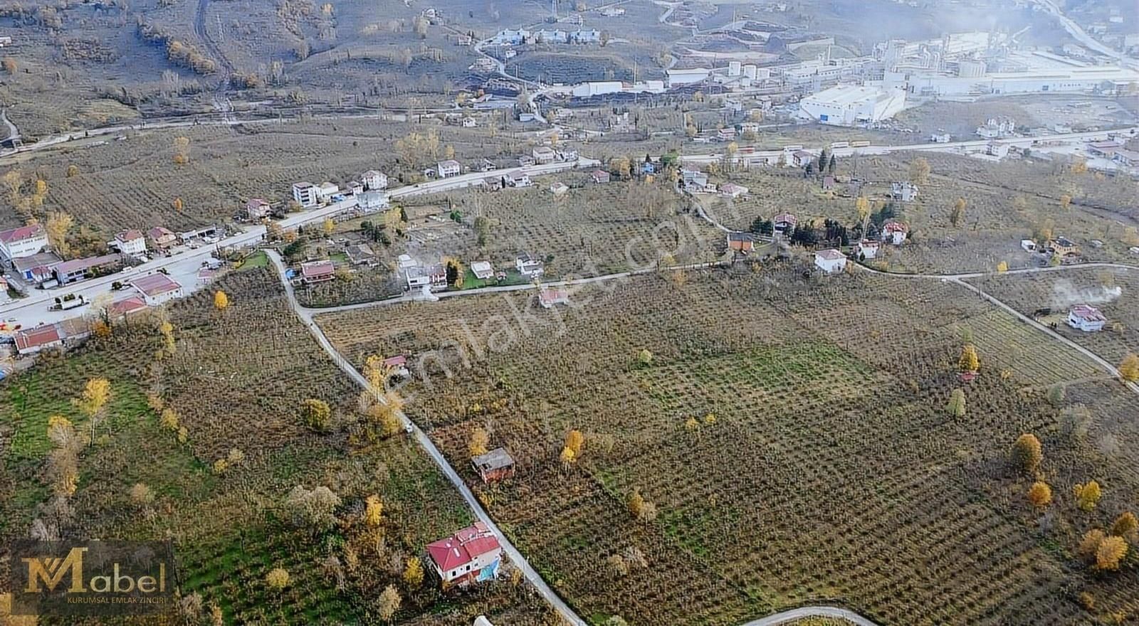 Altınordu Yemişli Satılık Bağ & Bahçe Mabel Gayrimenkul-yemişli Mah.-merkeze Çok Yakın Fırsat Bahçe