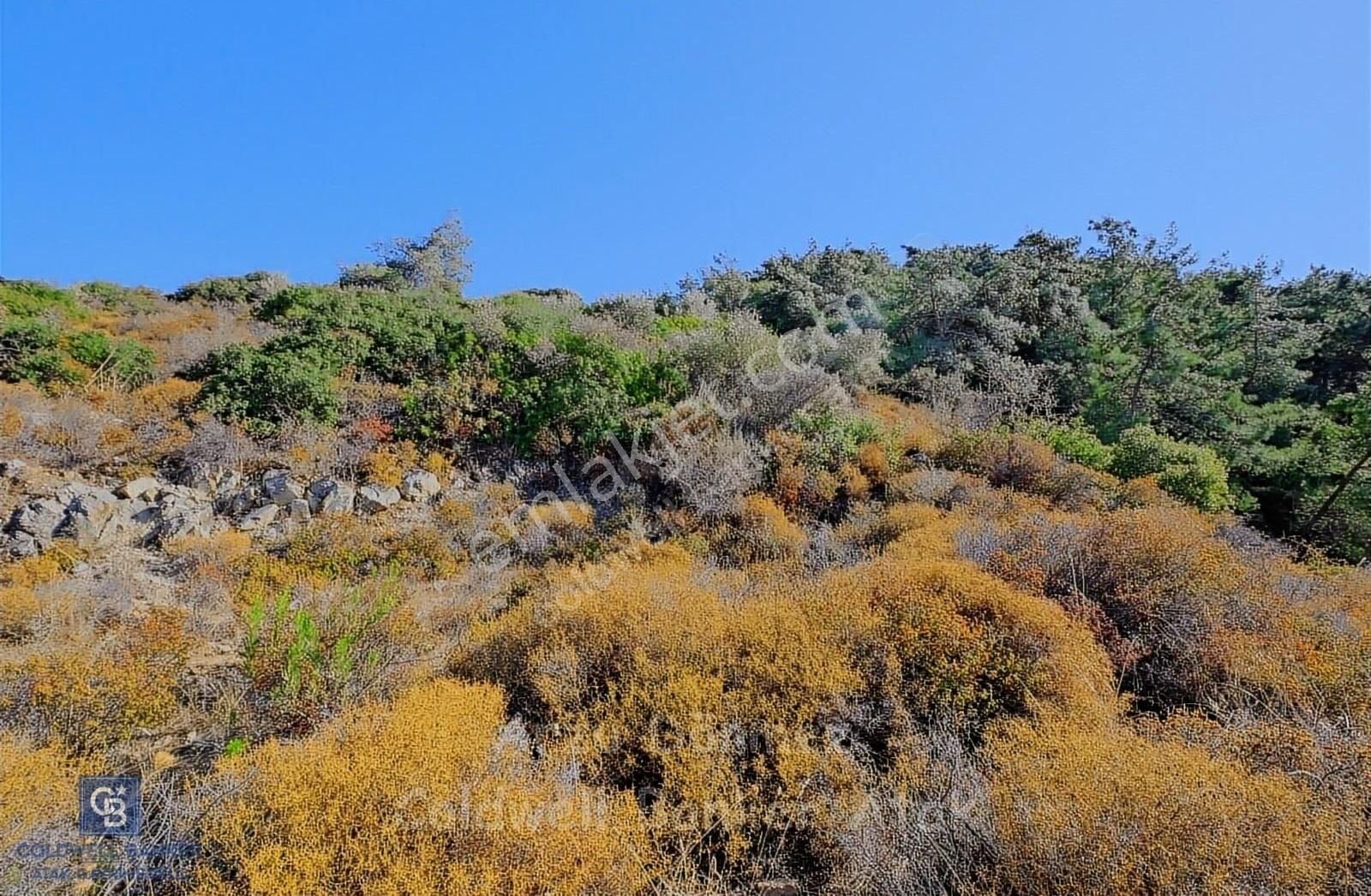 Urla Çeşmealtı Ayşe Hnm Konağı Yakını Satılık Denz Manzr Tarla - Görsel 5