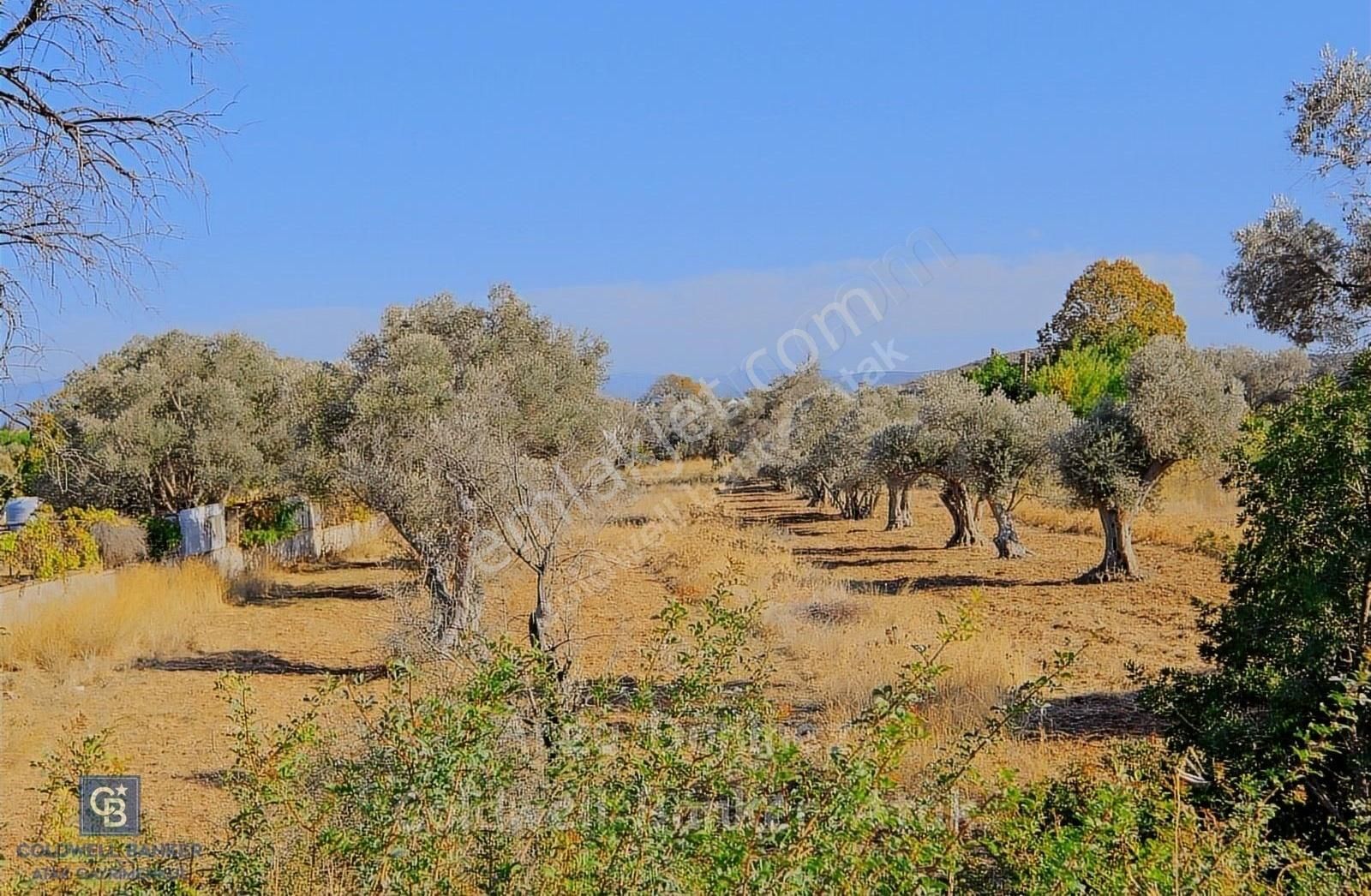 Urla Denizli Satılık Tarla Urla Çeşmealtı Harbiye Cad. Toplam 5288 M2 Satılık Arazi