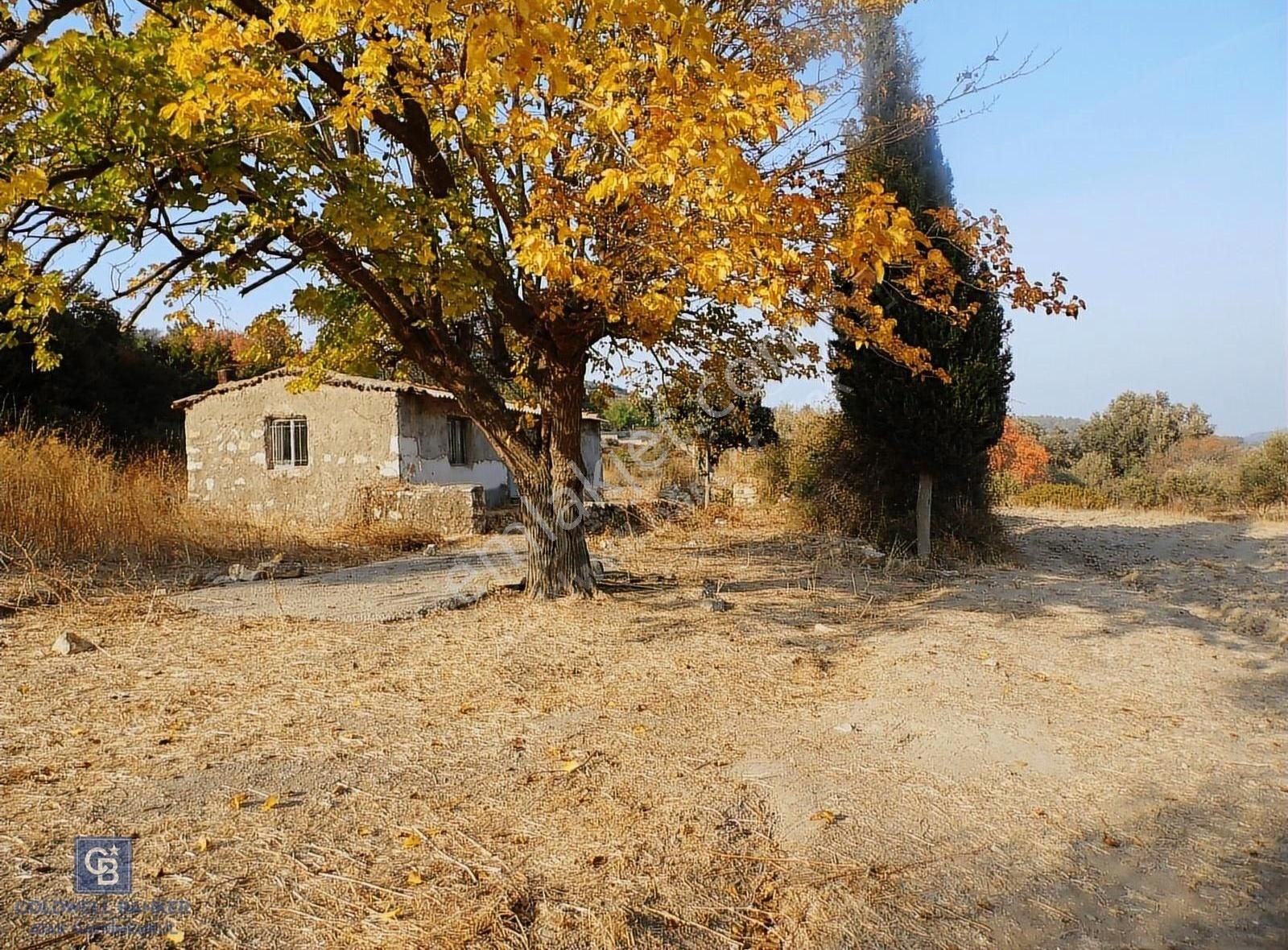 Urla Yenice Satılık Tarla Urlada Satılık Arazi Kekliktepe Ve Kalabak Birleşiminde