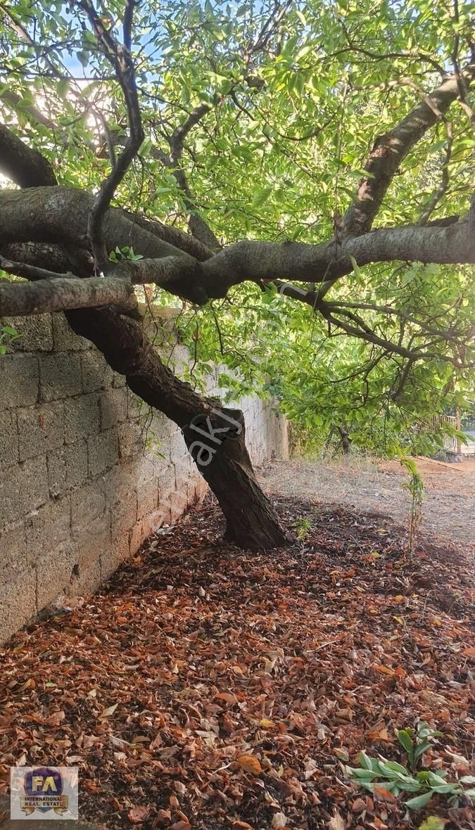 Fa'dan Kepirli'de 1.100 M² İçinde Muhteşem Manzaralı Yayla Evi - Görsel 9