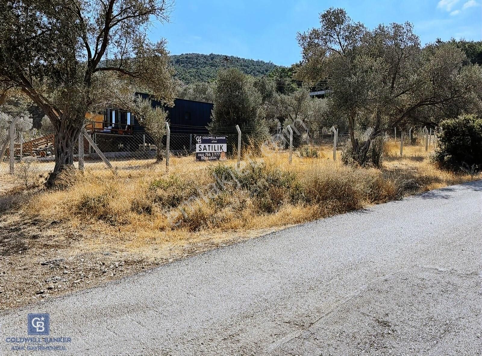 Urla Güvendik Satılık Tarla Çeşmealtı Güvendik Mah. Yola Cepheli Arsa