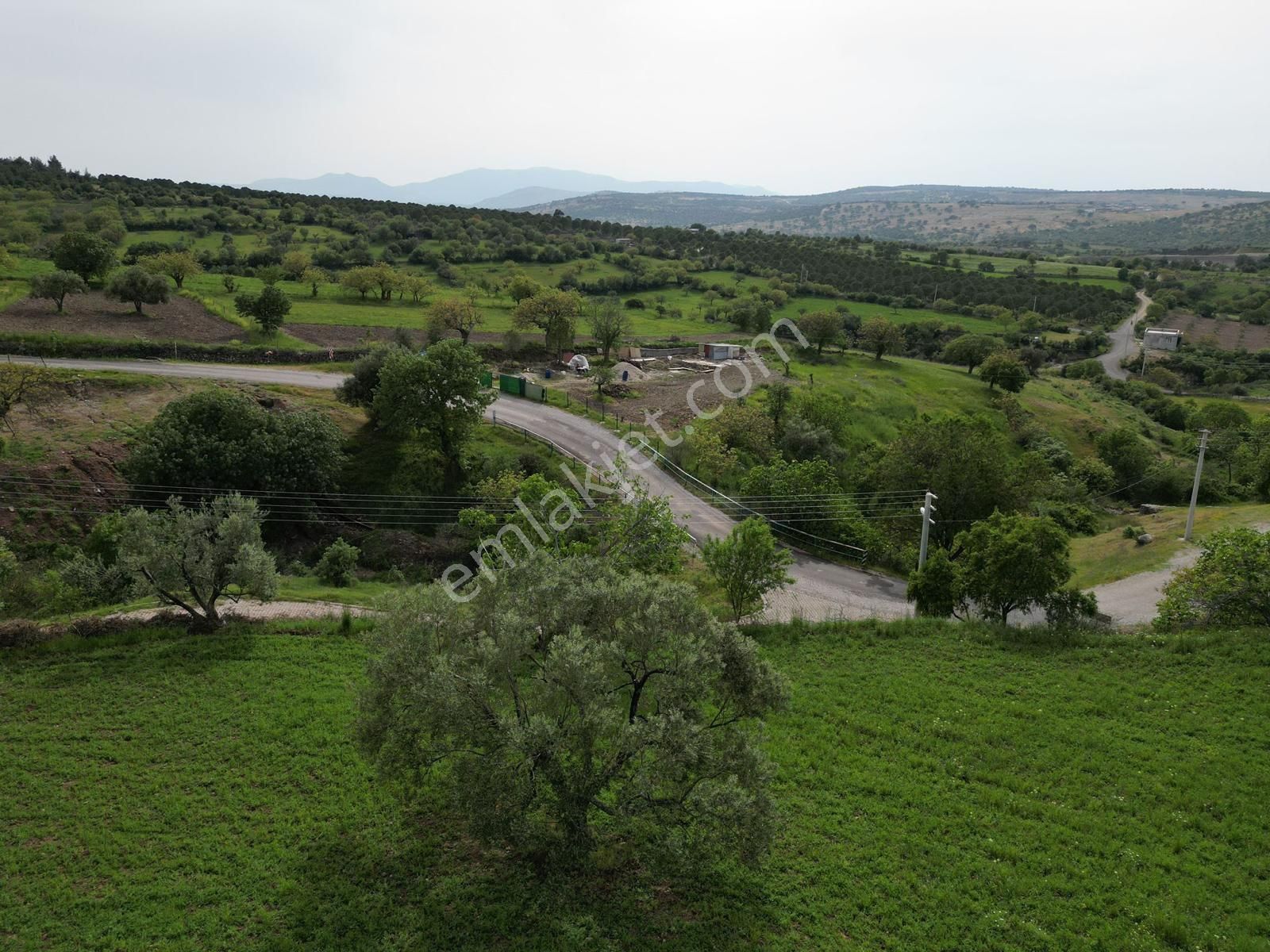 Yunusemre İlyasçılar Satılık Tarla -manisa Yunusemre İlçesi- (satılık) İlyasçılar Köyünde 4300 M2 Arazi