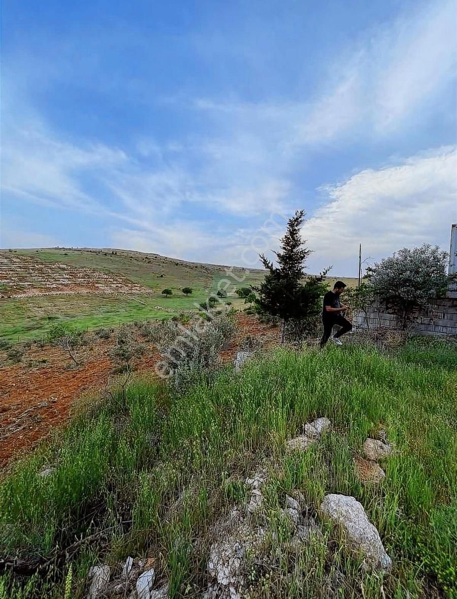 Şehitkamil Bilek Satılık Tarla Belkız Gyo Dan Bilekte Fırsat Arsa Tek Tapu Yola Yakın