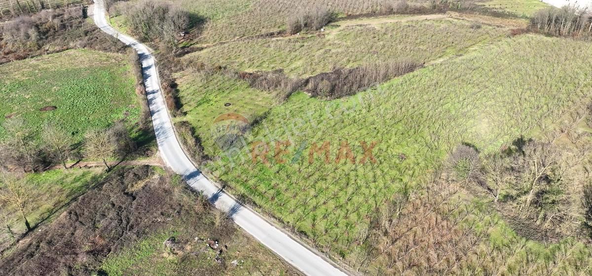 Hendek Çağlayan Satılık Bağ & Bahçe Talha Yeğin'den Satılık Arsa