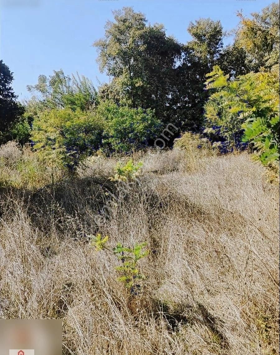 Muğla Ortaca Okcular Mahallesinde Satılık Villa Arasasi - Görsel 13