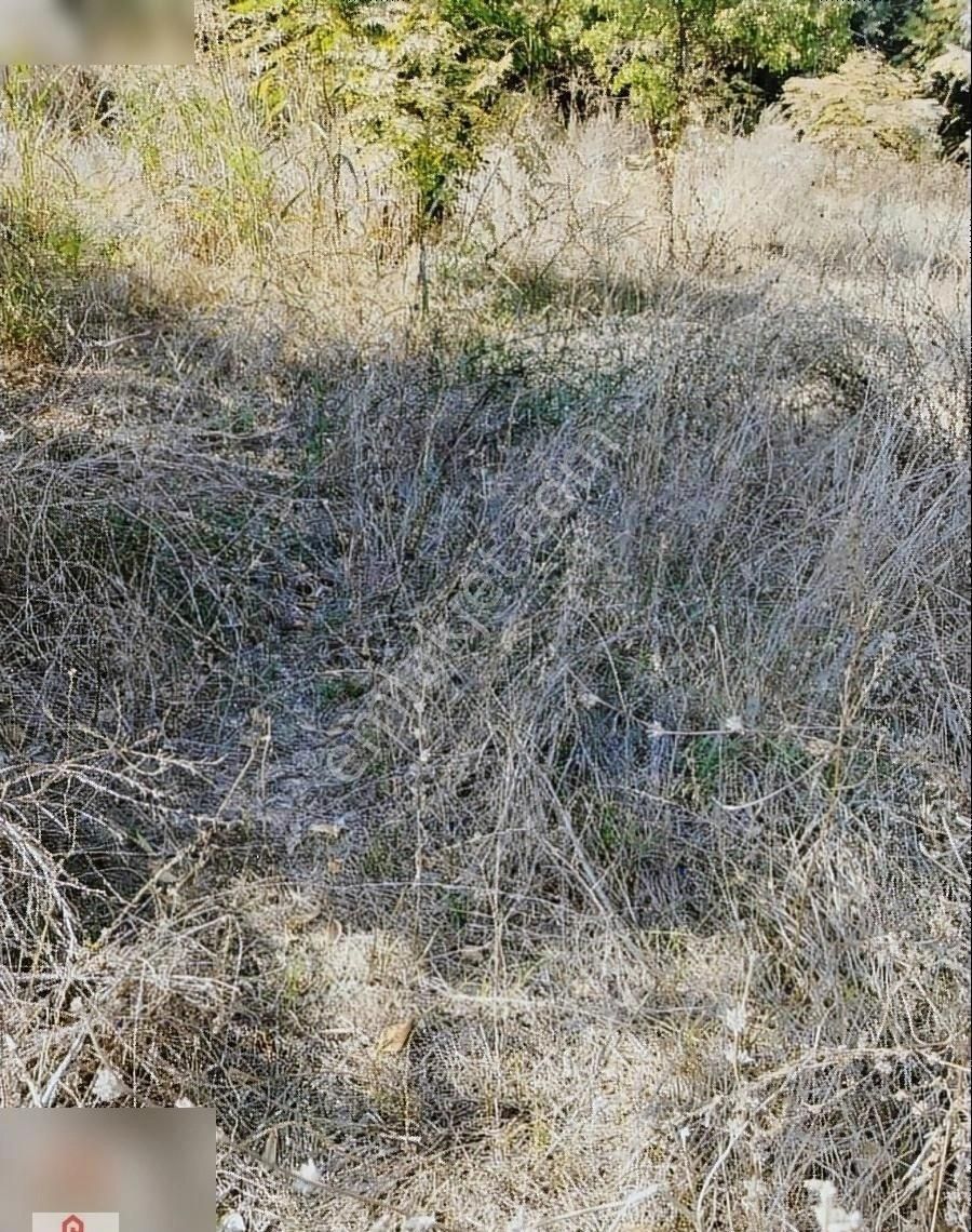 Muğla Ortaca Okcular Mahallesinde Satılık Villa Arasasi - Görsel 15