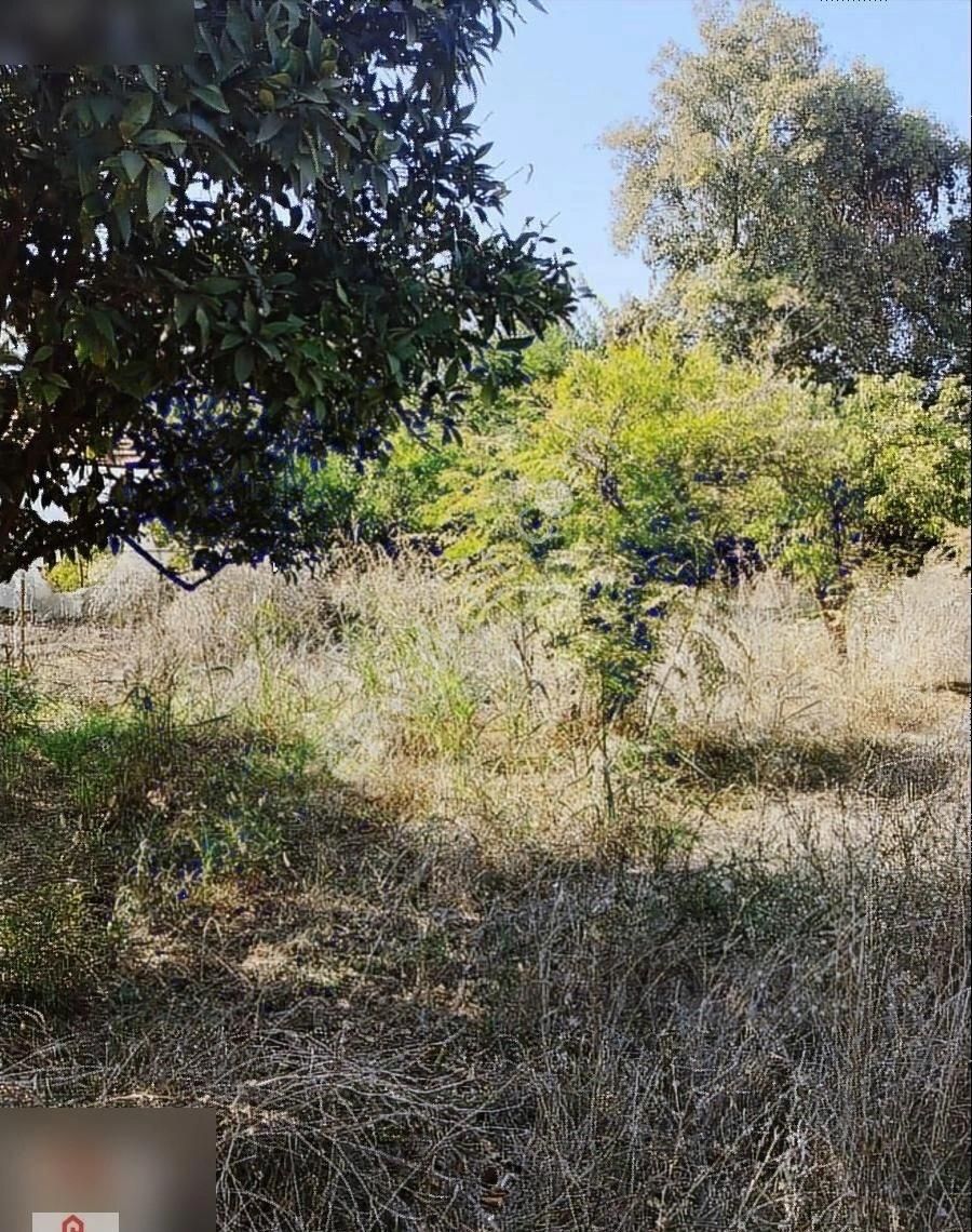 Muğla Ortaca Okcular Mahallesinde Satılık Villa Arasasi - Görsel 5