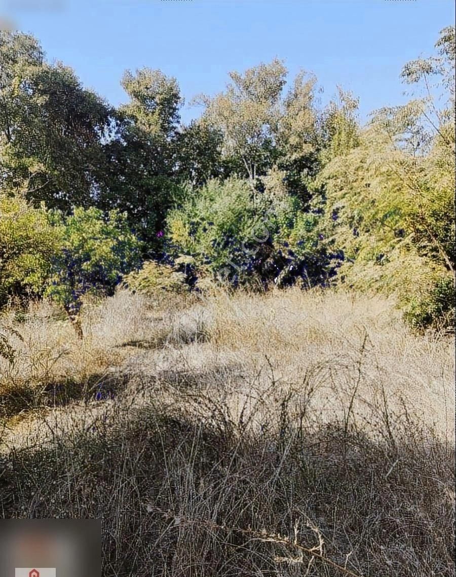 Muğla Ortaca Okcular Mahallesinde Satılık Villa Arasasi - Görsel 7