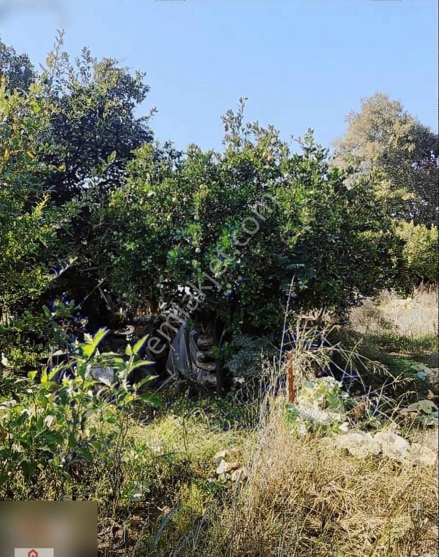 Muğla Ortaca Okcular Mahallesinde Satılık Villa Arasasi - Görsel 4