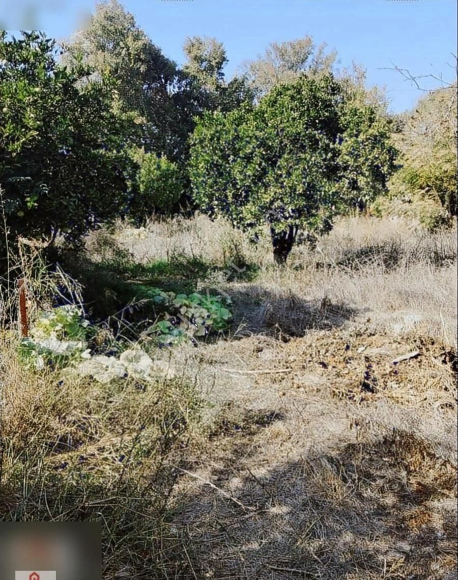 Muğla Ortaca Okcular Mahallesinde Satılık Villa Arasasi - Görsel 9