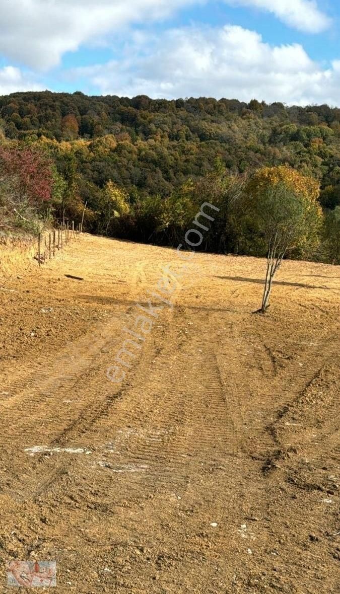 Şile Çelebi Satılık Tarla İstanbul Şile Çelebi Mahallesi 1111 M2 Satılık Yatırımlık Tarla