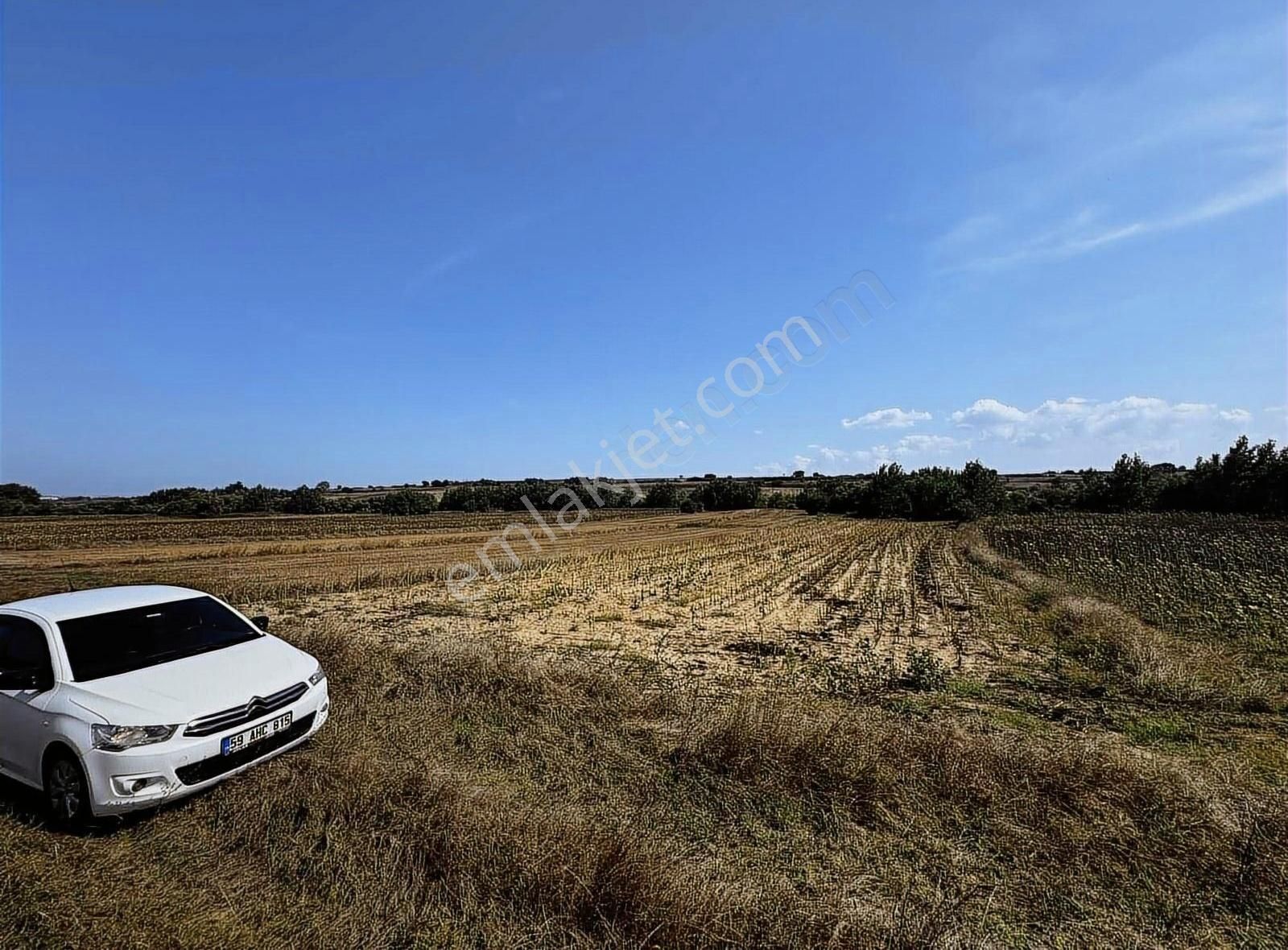 Saray Çayla Satılık Tarla Atlas Gayrimenkul'den Saray Çayla'da Tek Tapu 3.700 M2