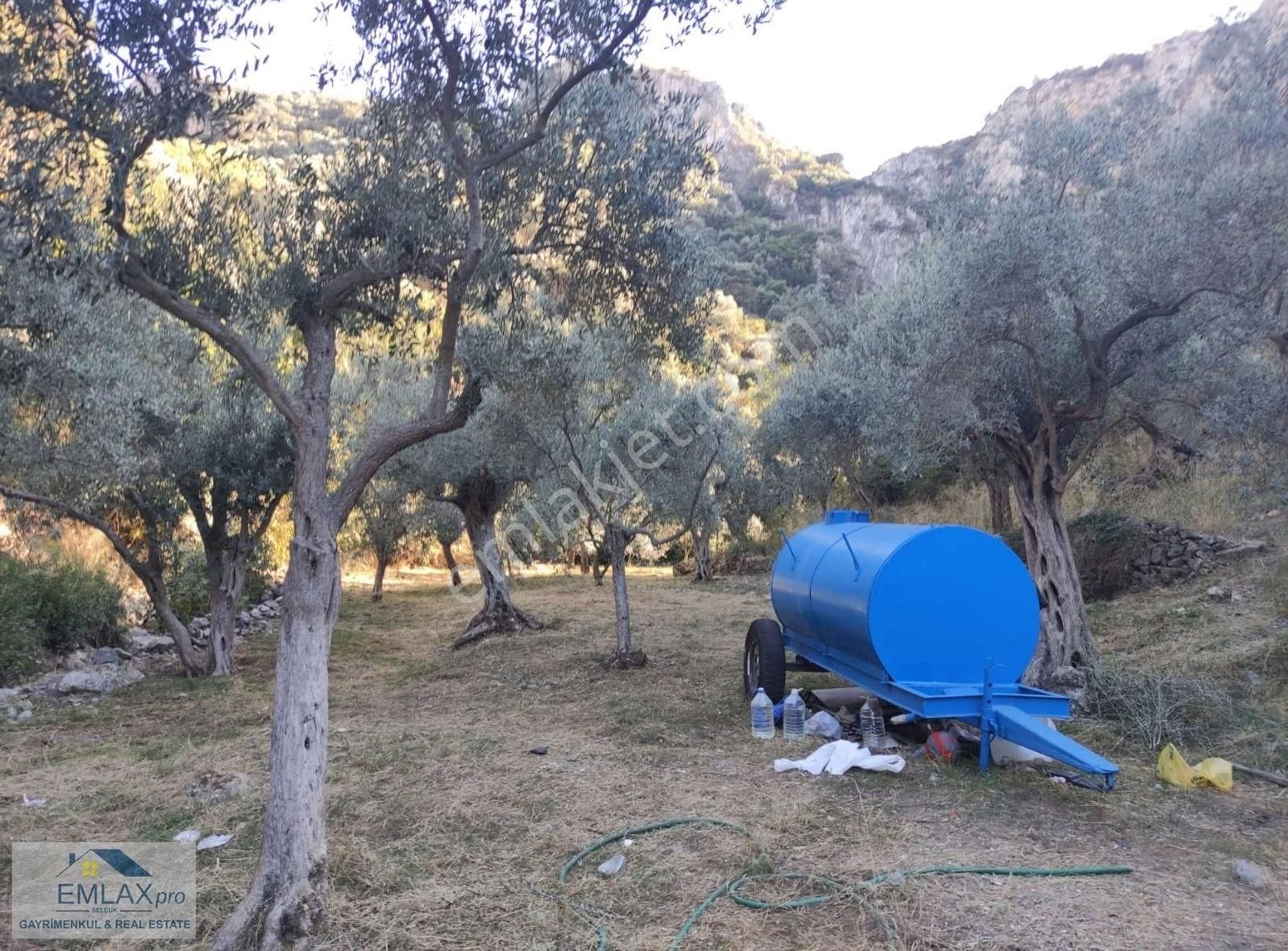 Selçuk Şirince Satılık Tarla Selcuk Merkeze 2.5 Km Mesafede Satılık Bahçe