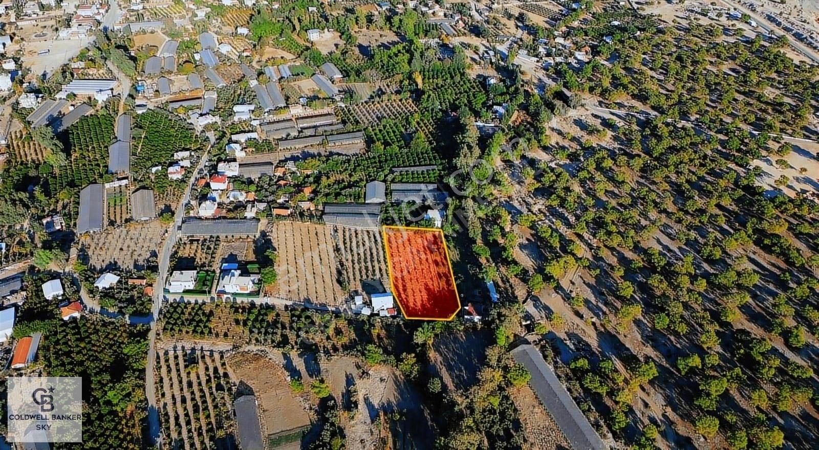 Konyaaltı Suiçecek Satılık Bağ & Bahçe Köy Başı Mahyallesi Suiçiçek Konyaaltı Antalya Fırsat Arsa