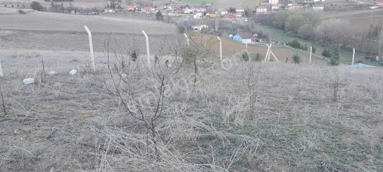 🙋🏻‍♂️sahibinden Mahalleye Bir Parsel Yakın Yatırım - Görsel 6