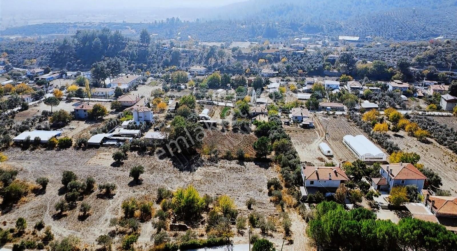 Menteşe Kafaca Satılık Konut İmarlı Kafaca'da Doğayla İç İçe Satılık İmarlı Arsa