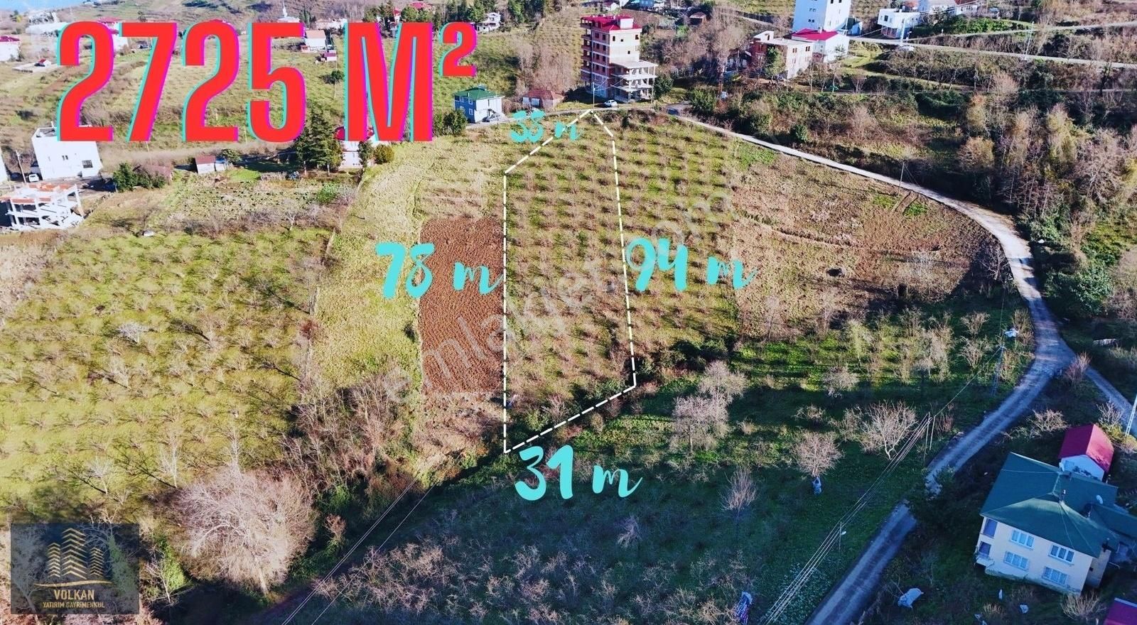 Akçaabat Demirci Satılık Tarla Yaylacık Merkeze Yaklaşık 14 Dakika Uzaklıkta 2725 M2 Arsa