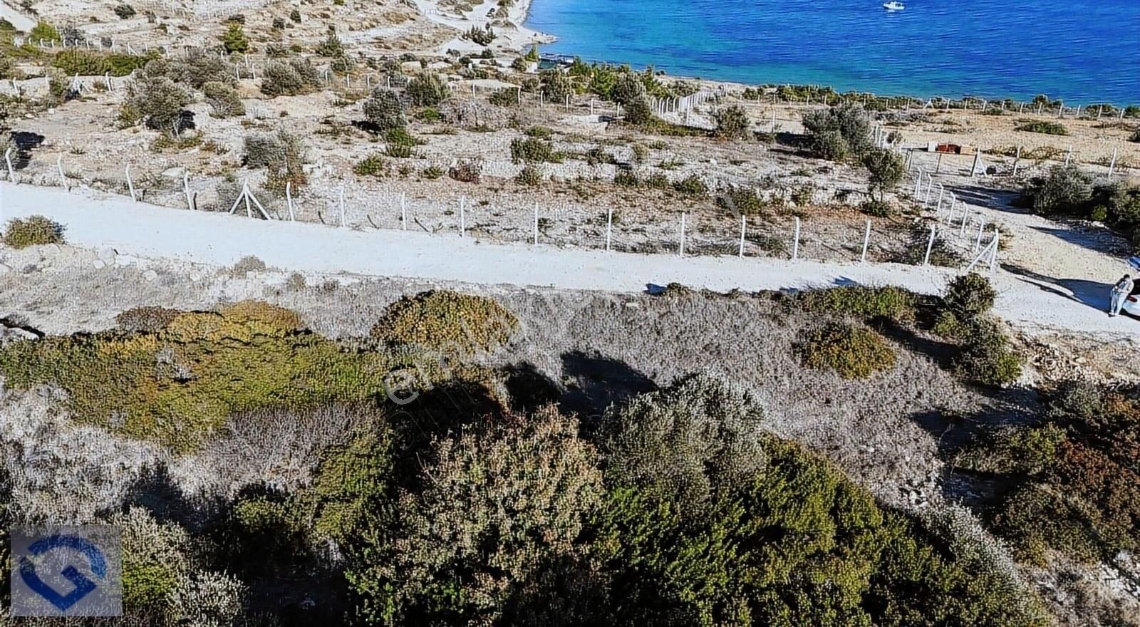 Çeşme Dalyan Satılık Tarla Hüseyin Öziç'den Dalyan Full Deniz Manzaralı Tarla Hissesi