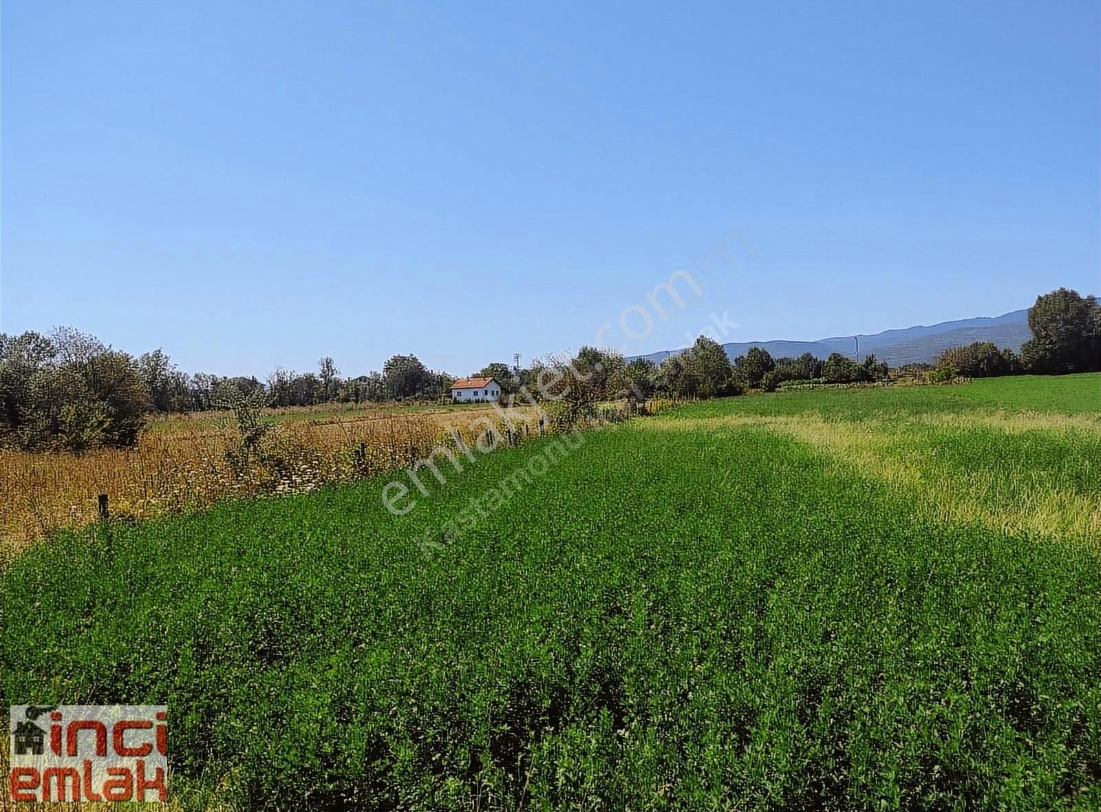 Daday Budaklı Köyü (Hasanbey) Satılık Konut İmarlı Yeşili İle Meşhur Daday Da 3 Ev Yapılabilir 1501 M2 Arsa