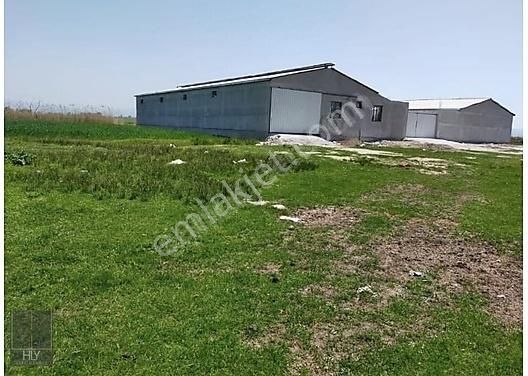 Altıeylül Yakupköy Satılık Tarla Hly Gayrimenkulden Yakupköy'de 1125 M2 Satılık Hayvan Çiftliği