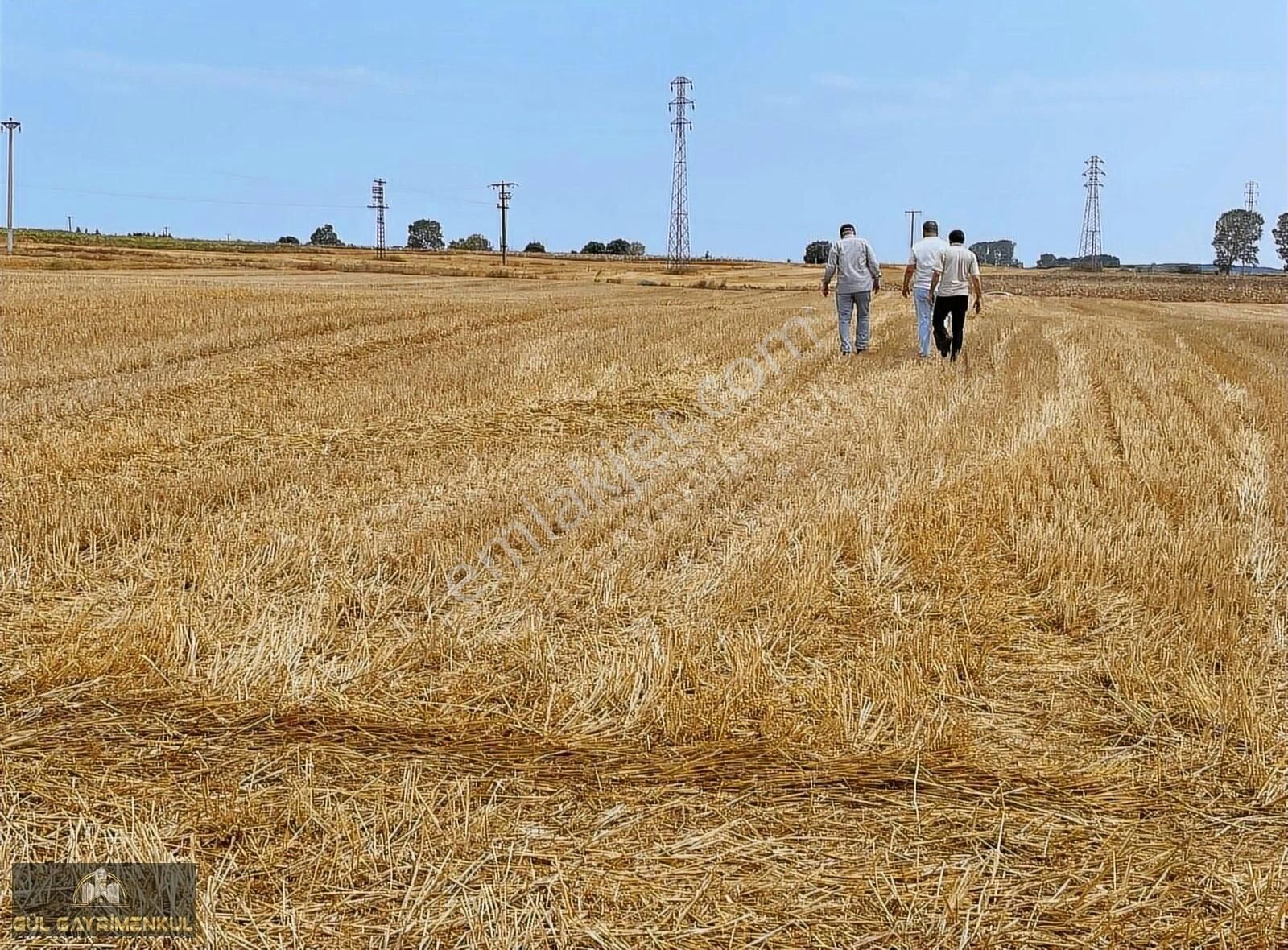 Vize Evrenli Köyü Satılık Tarla Vize Evrenli İkitelli Osb. Projesinde 300m2 Sahibinde Tarla