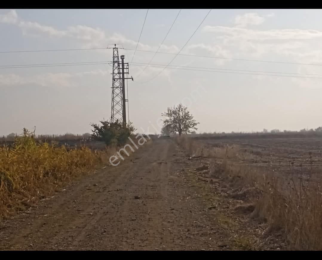 Şehzadeler Tilkisüleymaniye Satılık Tarla Manisa Tilki Süleymaniye De 3550m2 Satılık Tarla