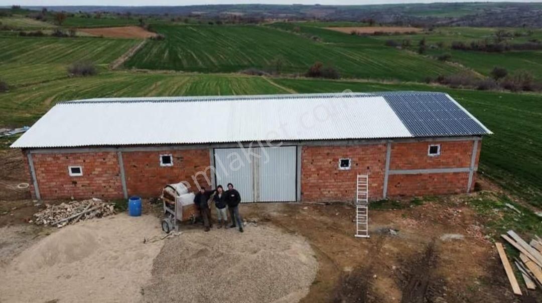 Lalapaşa Çatma Köyü Satılık Tarla Edirne Lalapaşa Çatma Da Çiftlik