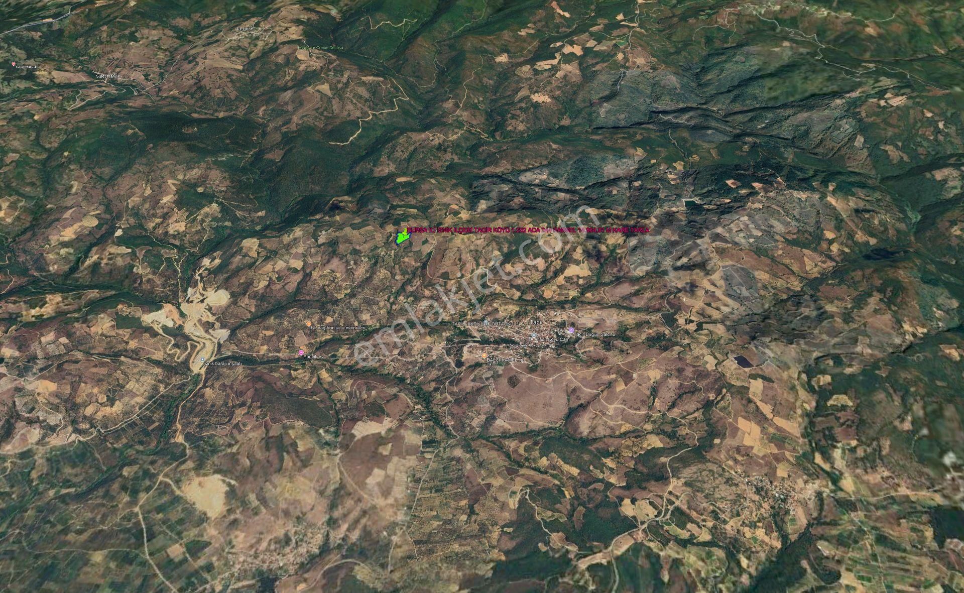 İznik Tacir Satılık Tarla Bursa İli İznik İlçesi Tacir Köyünde Kadastrol Yola Cepheli 14.964,01 M Kare Kelepir Tarla