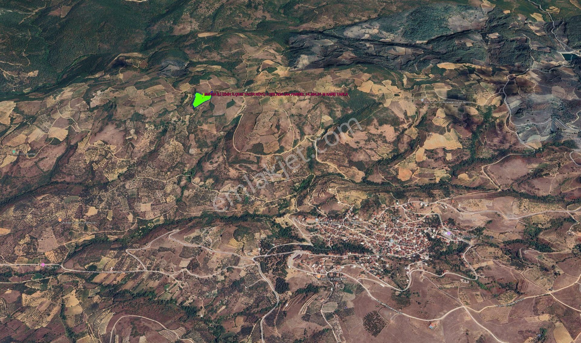 Bursa İli İznik İlçesi Tacir Köyünde Kadastrol Yola Cepheli 14.964,01 M Kare Kelepir Tarla - Görsel 2