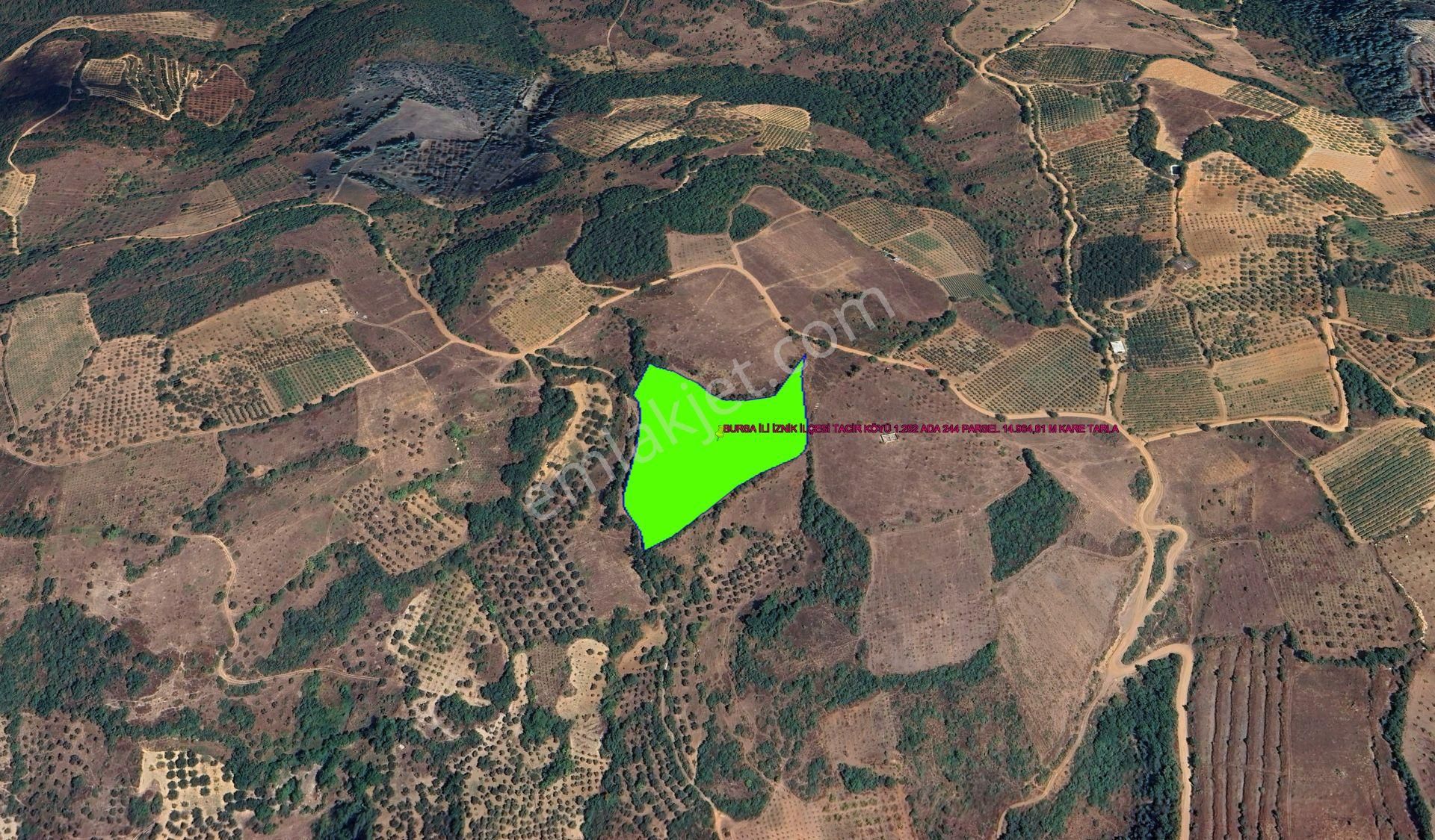 Bursa İli İznik İlçesi Tacir Köyünde Kadastrol Yola Cepheli 14.964,01 M Kare Kelepir Tarla - Görsel 3