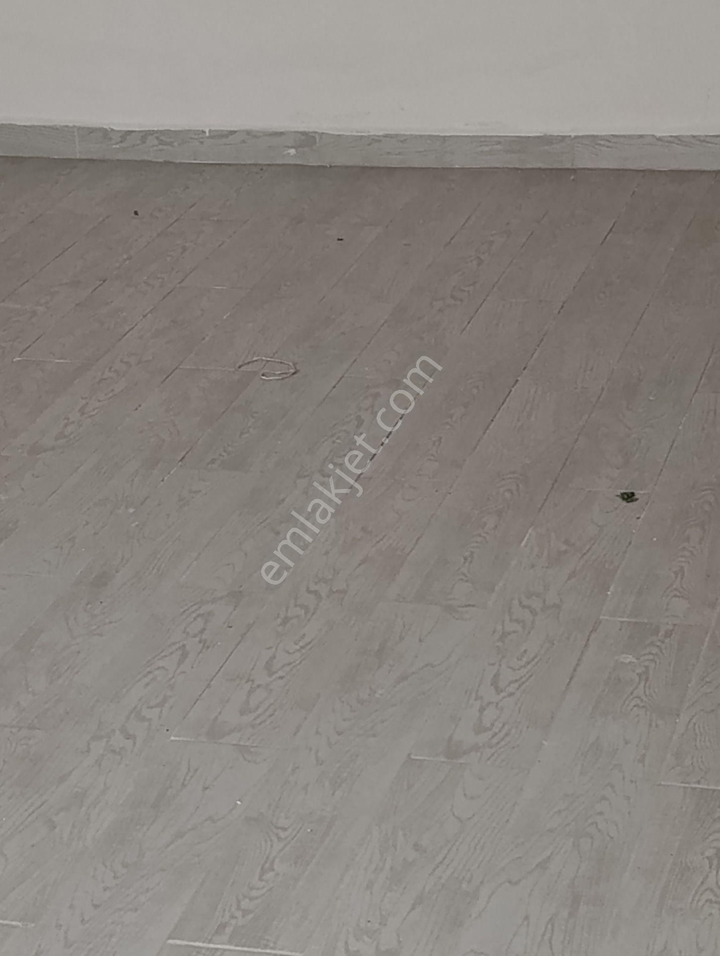 Karşıyaka Örnekköy Kiralık Daire Mg Gayrimenkul Den Kiralık Daire 1+1 70 M2