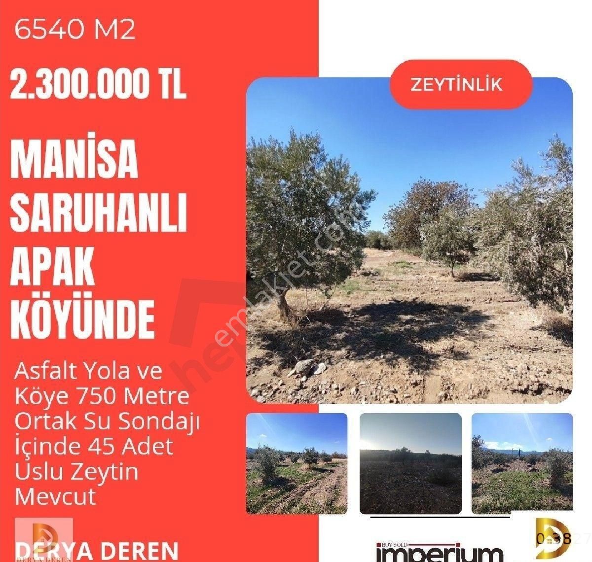 Saruhanlı Apak Satılık Tarla Satılık Zeytinlik Manisa Saruhanlı Apak Köyünde 6540 M2