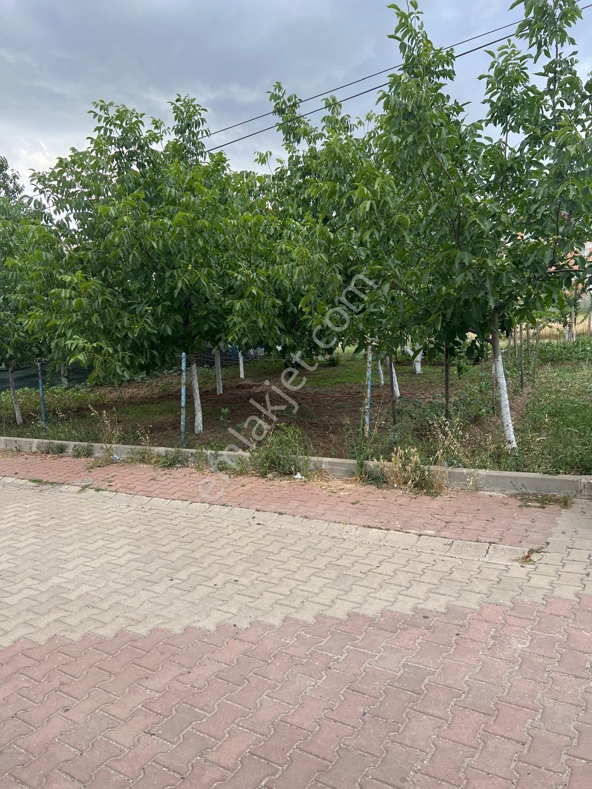 Ticari+konut Cadde Üzeri Köşe Başı Okulun Karşısı - Görsel 11